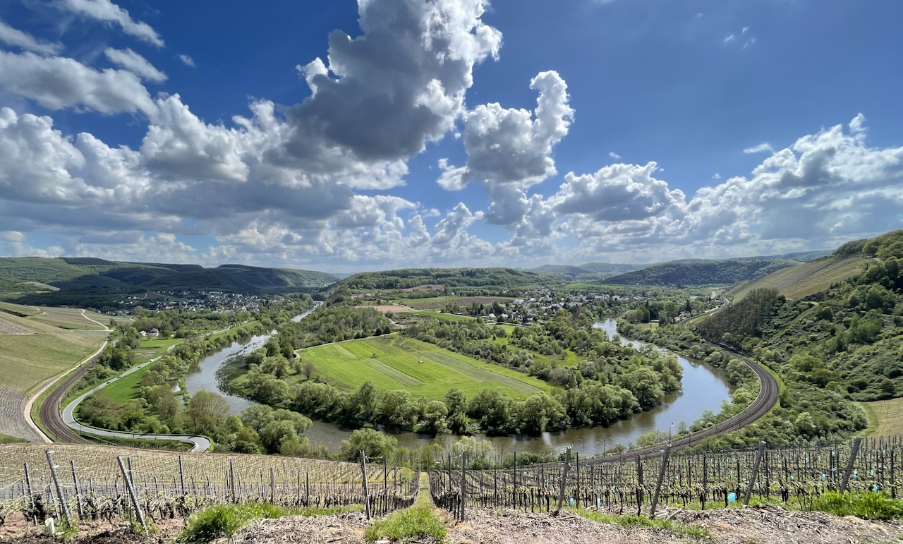 You are currently viewing Saar-Riesling-Steig