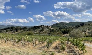 Read more about the article Chianti